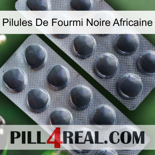 African Black Ant Pills 31